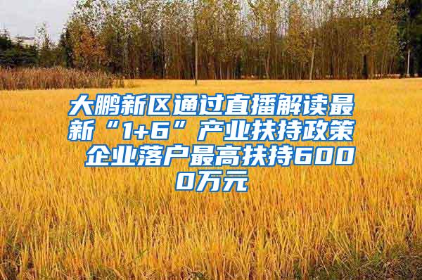 大鹏新区通过直播解读最新“1+6”产业扶持政策 企业落户最高扶持6000万元