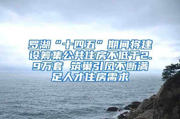 罗湖“十四五”期间将建设筹集公共住房不低于2.9万套 筑巢引凤不断满足人才住房需求