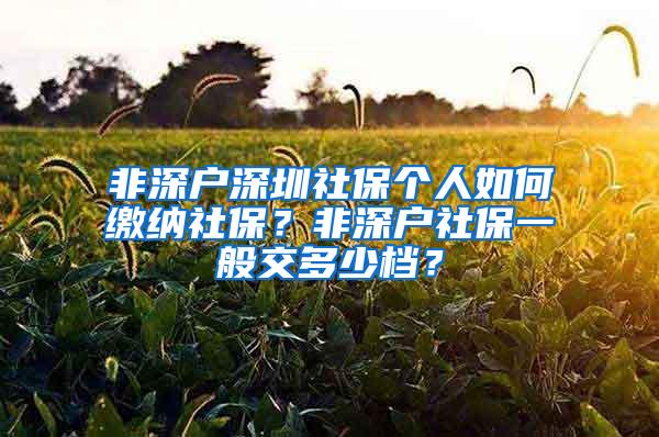 非深户深圳社保个人如何缴纳社保？非深户社保一般交多少档？