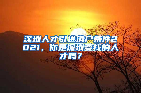 深圳人才引进落户条件2021，你是深圳要找的人才吗？