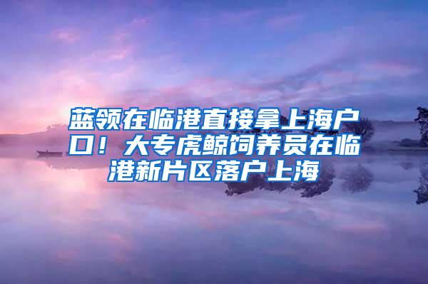 蓝领在临港直接拿上海户口！大专虎鲸饲养员在临港新片区落户上海