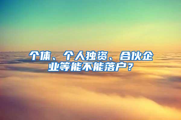 个体、个人独资、合伙企业等能不能落户？