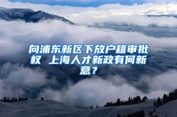 向浦东新区下放户籍审批权 上海人才新政有何新意？