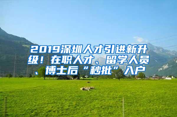 2019深圳人才引进新升级！在职人才、留学人员、博士后“秒批”入户