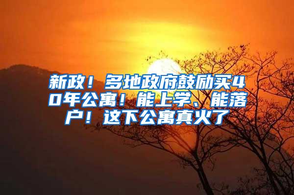 新政！多地政府鼓励买40年公寓！能上学、能落户！这下公寓真火了