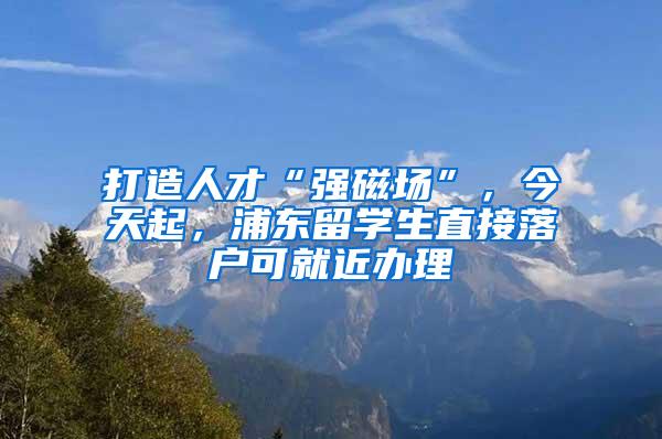 打造人才“强磁场”，今天起，浦东留学生直接落户可就近办理