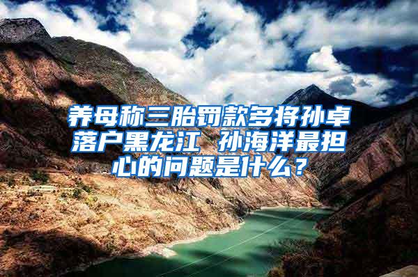 养母称三胎罚款多将孙卓落户黑龙江 孙海洋最担心的问题是什么？