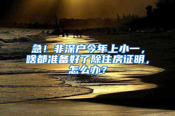 急！非深户今年上小一，啥都准备好了除住房证明，怎么办？