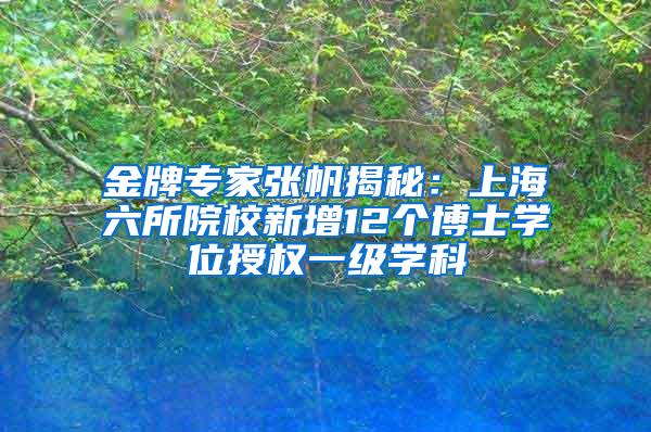 金牌专家张帆揭秘：上海六所院校新增12个博士学位授权一级学科