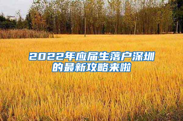 2022年应届生落户深圳的最新攻略来啦