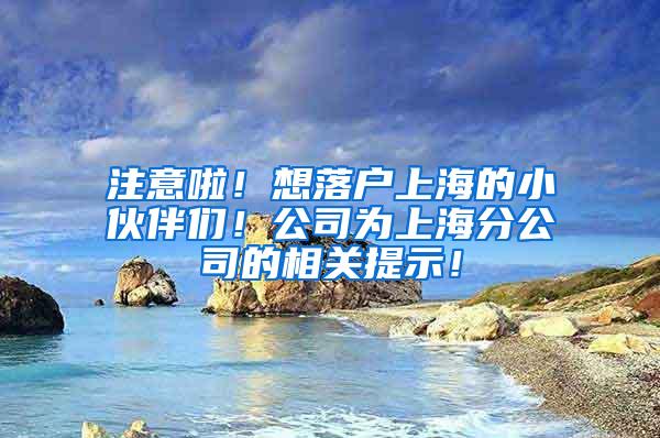 注意啦！想落户上海的小伙伴们！公司为上海分公司的相关提示！