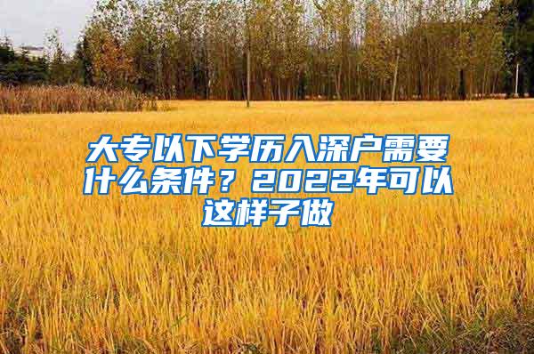 大专以下学历入深户需要什么条件？2022年可以这样子做