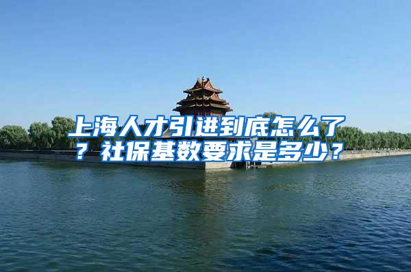 上海人才引进到底怎么了？社保基数要求是多少？