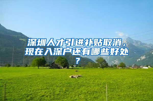 深圳人才引进补贴取消，现在入深户还有哪些好处？