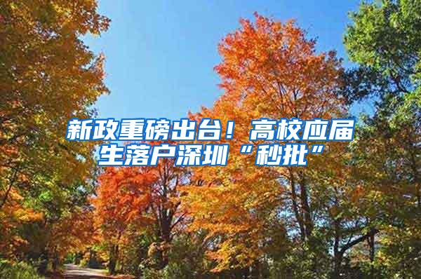 新政重磅出台！高校应届生落户深圳“秒批”