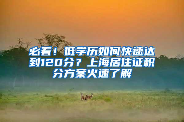 必看！低学历如何快速达到120分？上海居住证积分方案火速了解