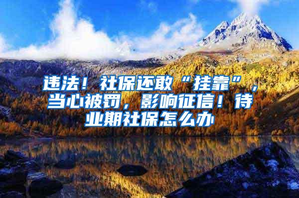 违法！社保还敢“挂靠”，当心被罚，影响征信！待业期社保怎么办