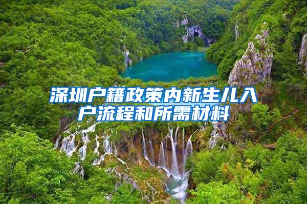 深圳户籍政策内新生儿入户流程和所需材料