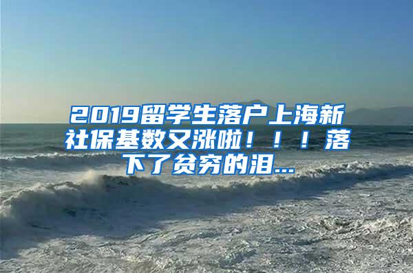 2019留学生落户上海新社保基数又涨啦！！！落下了贫穷的泪...