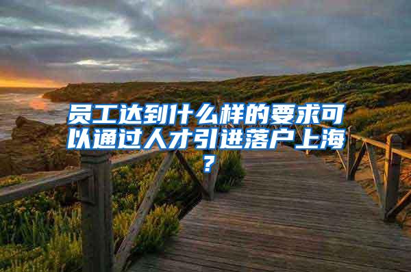 员工达到什么样的要求可以通过人才引进落户上海？