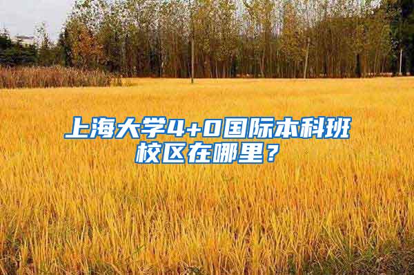 上海大学4+0国际本科班校区在哪里？