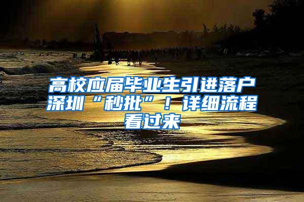 高校应届毕业生引进落户深圳“秒批”！详细流程看过来