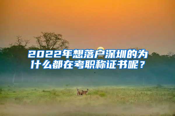 2022年想落户深圳的为什么都在考职称证书呢？