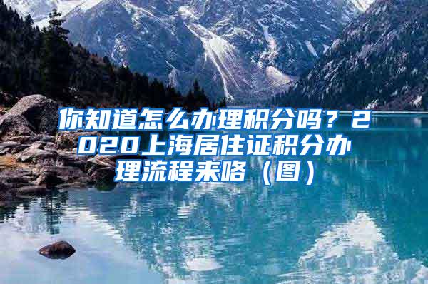 你知道怎么办理积分吗？2020上海居住证积分办理流程来咯（图）