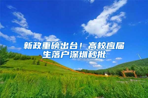 新政重磅出台！高校应届生落户深圳秒批