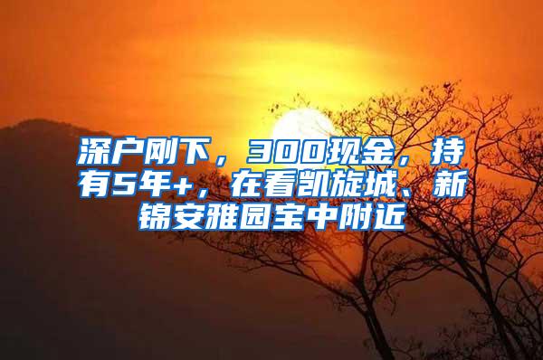 深户刚下，300现金，持有5年+，在看凯旋城、新锦安雅园宝中附近