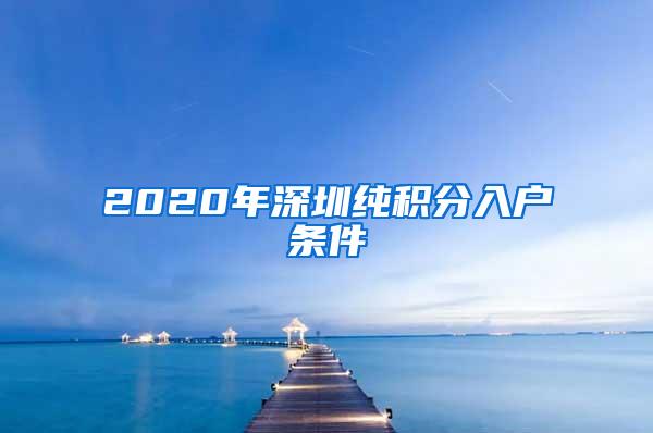 2020年深圳纯积分入户条件