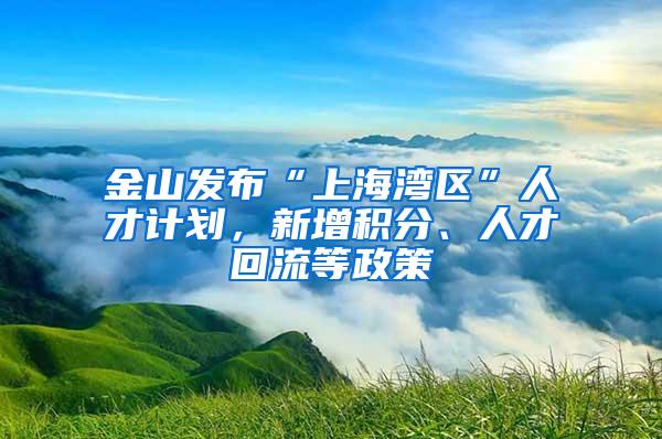 金山发布“上海湾区”人才计划，新增积分、人才回流等政策