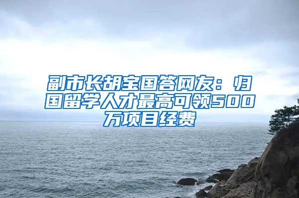 副市长胡宝国答网友：归国留学人才最高可领500万项目经费