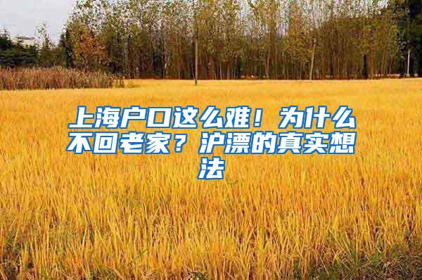 上海户口这么难！为什么不回老家？沪漂的真实想法