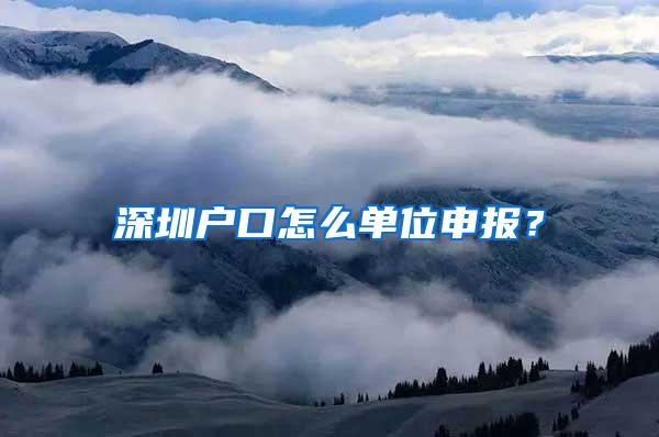 深圳户口怎么单位申报？