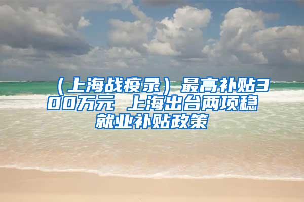 （上海战疫录）最高补贴300万元 上海出台两项稳就业补贴政策