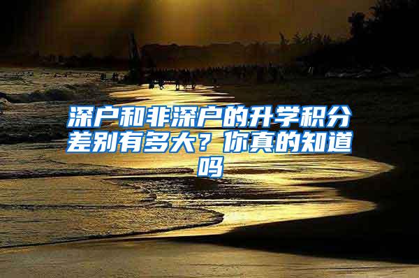 深户和非深户的升学积分差别有多大？你真的知道吗