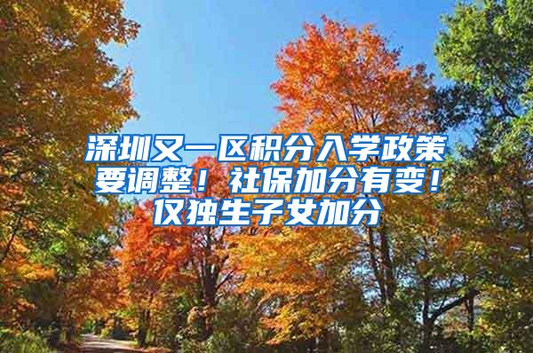 深圳又一区积分入学政策要调整！社保加分有变！仅独生子女加分