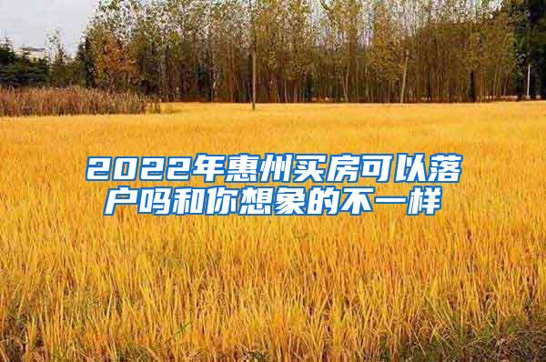 2022年惠州买房可以落户吗和你想象的不一样