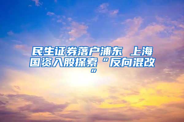 民生证券落户浦东 上海国资入股探索“反向混改”