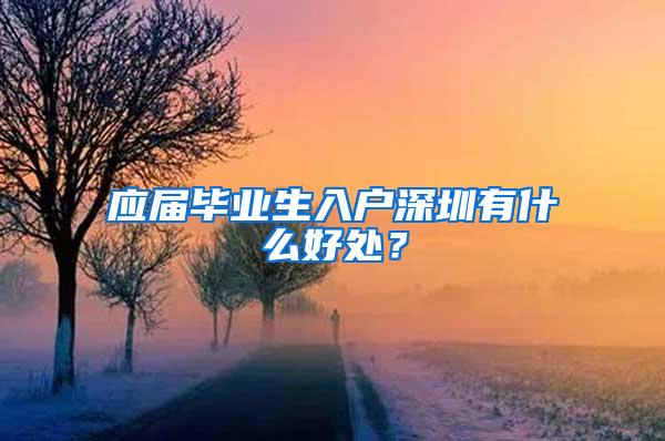 应届毕业生入户深圳有什么好处？