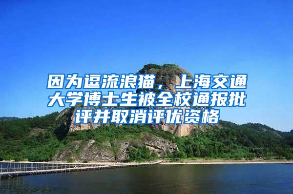 因为逗流浪猫，上海交通大学博士生被全校通报批评并取消评优资格