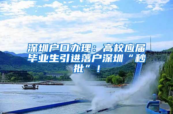 深圳户口办理：高校应届毕业生引进落户深圳“秒批”！