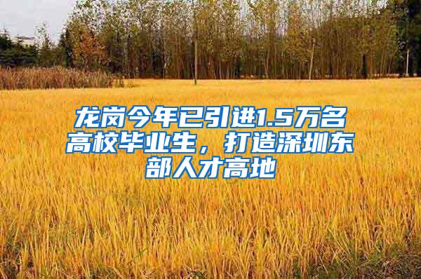 龙岗今年已引进1.5万名高校毕业生，打造深圳东部人才高地