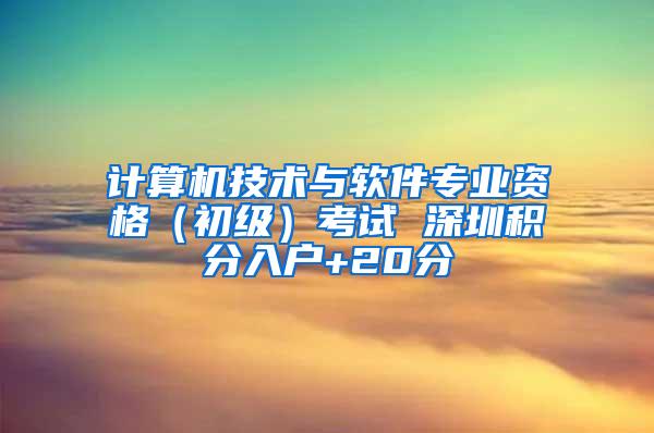 计算机技术与软件专业资格（初级）考试 深圳积分入户+20分