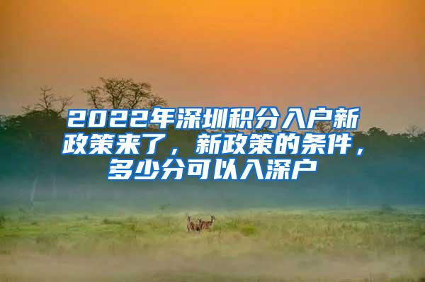 2022年深圳积分入户新政策来了，新政策的条件，多少分可以入深户