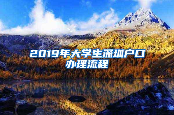 2019年大学生深圳户口办理流程