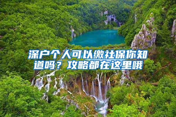 深户个人可以缴社保你知道吗？攻略都在这里哦