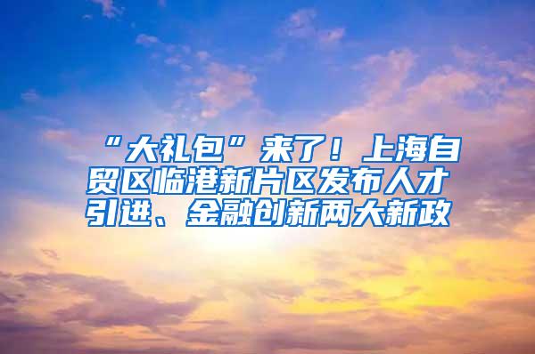 “大礼包”来了！上海自贸区临港新片区发布人才引进、金融创新两大新政