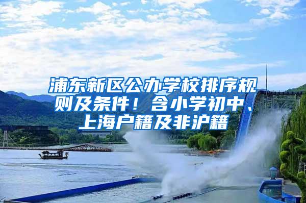 浦东新区公办学校排序规则及条件！含小学初中、上海户籍及非沪籍